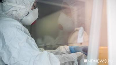 Таинственные гоминиды: ученые вычислили неизвестного предка человека - newdaynews.ru