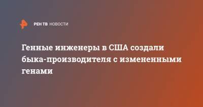 Генные инженеры в США создали быка-производителя с измененными генами - ren.tv - США