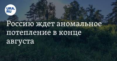 Роман Вильфанд - Россию ждет аномальное потепление в конце августа - ura.news - Россия - Санкт-Петербург - Челябинская обл. - Тюменская обл. - Мурманск - Свердловская обл. - Курганская обл. - Пермский край - Калининградская обл. - Архангельская обл. - республика Карелия