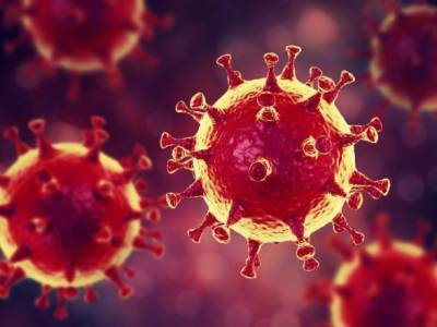 Джонс Хопкинс - Пандемия: количество инфицированных COVID-19 в мире уже более 22,5 миллионов - unn.com.ua - США - Украина - Киев - Бразилия - Индия