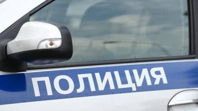 В Куйбышеве обнаружили труп девушки возле мусорных баков - iz.ru - Москва - Новосибирская обл.