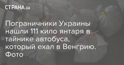 Пограничники Украины нашли 111 кило янтаря в тайнике автобуса, который ехал в Венгрию. Фото - strana.ua - Украина - Венгрия - Закарпатская обл.