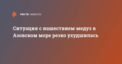 Ситуация с нашествием медуз в Азовском море резко ухудшилась - ren.tv - Россия - Екатеринбург - Ростовская обл. - Свердловская обл. - Калининградская обл. - Новошахтинск