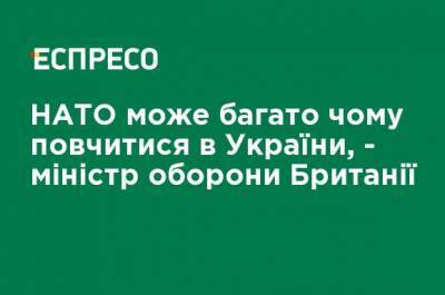 Бен Уоллес - НАТО может многому поучиться у Украины, - министр обороны Британии - ru.espreso.tv - Украина - Англия - Албания