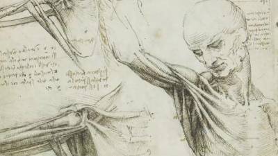 Леонардо Да-Винч - Смысл рисунка Леонардо да Винчи раскрыли спустя 500 лет - piter.tv - США - Англия - Италия - Германия
