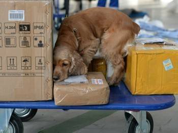 Из-за подозрительной посылки с резким запахом в Череповце эвакуировали отделение почты - vologda-poisk.ru - Череповец