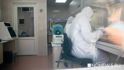 Коронавирус выявлен еще у 4870 россиян - newdaynews.ru - Москва - Россия - Санкт-Петербург - Московская обл. - Нижегородская обл. - Ростовская обл. - Свердловская обл. - Ставрополье