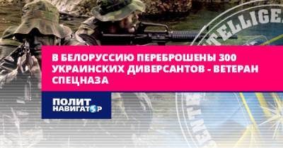 Александр Лукашенко - Сергей Козлов - В Белоруссию переброшены 300 украинских диверсантов –... - politnavigator.net - Россия - Украина - Киев - Белоруссия - Польша - Литва - Вильнюс - Минск - Варшава - Речь Посполитая