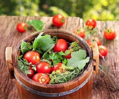 Помидоры на зиму: ТОП-5 лучших рецептов на любой вкус - skuke.net