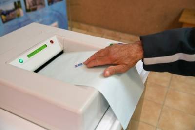 КОИБы используют на довыборах в Госдуму от Курской области - interfax-russia.ru - Россия - Курская обл. - Курск