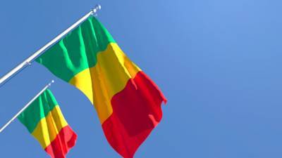 Буба Сиссе - В Мали освободили главу Минфина и приближенного экс-президента - gazeta.ru - Мали