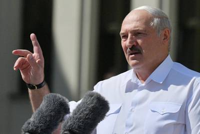 Александр Лукашенко - Светлана Тихановская - Лукашенко посоветовал вместо забастовок выращивать кур и коров - lenta.ru - Белоруссия