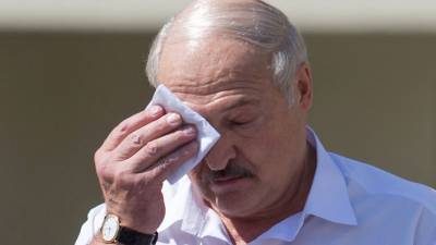 Александр Лукашенко - Лукашенко заявил, что в Белоруссии нет «катастрофичной» ситуации - gazeta.ru - Белоруссия