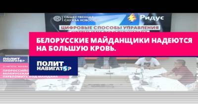 Белорусские майданщики надеются на большую кровь. - politnavigator.net - Белоруссия