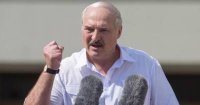 Александр Лукашенко - Лукашенко: Оппозиция не получит денег ЕС без ведома государства - ren.tv - Белоруссия