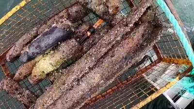 МЧС поднимает боеприпасы с затонувшей немецкой баржи со взрывчаткой. - riafan.ru - Россия - Калининградская обл.