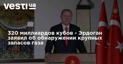 Реджеп Тайип Эрдоган - 320 миллиардов кубов - Эрдоган заявил об обнаружении крупных запасов газа - vesti.ua - Турция - Румыния - Болгария