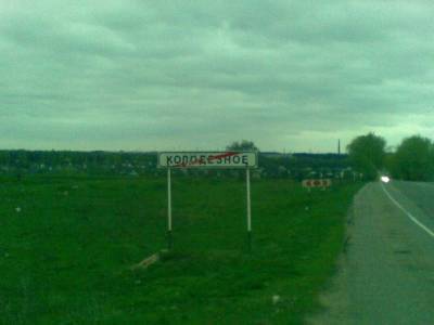 Главу воронежского села вместе с сыном задержали за особо крупное мошенничество - gorcom36.ru - Россия - район Каширский