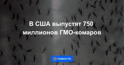 В США выпустят 750 миллионов ГМО-комаров - news.mail.ru - США
