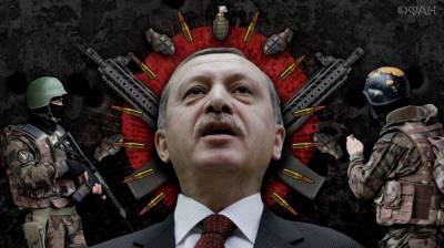 Реджеп Тайип Эрдоган - Турецкие демократы призвали Эрдогана вывести войска из Ливии, Ирака и САР - riafan.ru - Сирия - Турция - Ирак - Анкара - Ливия