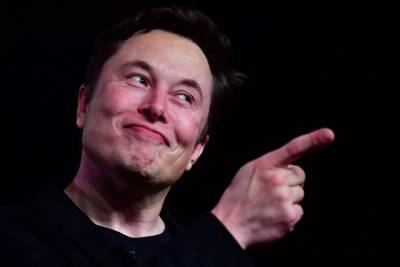 Илон Маск - Маск пообещал, что вскоре автомобили Tesla научатся проигрывать через внешние динамики змеиный джаз и музыку полинезийского лифта, также получат поддержку новых игр - itc.ua