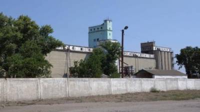 Харьковская СБУ разоблачила трех чиновников в хищении зерна из Госрезерва на 2,5 млн грн - ru.espreso.tv - Украина - Харьковская обл. - Харьков