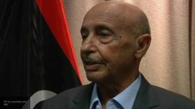 Агила Салех - Агила Салех призвал к проведению справедливых выборов в Ливии - polit.info - Ливия