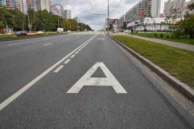 Протяженность выделенных полос составит 376 километров в конце 2020 года - m24.ru - Москва