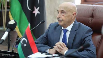 Салех призвал ввести режим полного прекращения огня в Ливии - newinform.com - Ливия - Триполи