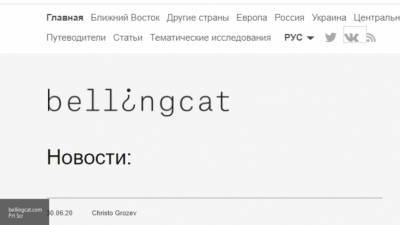 В Совфеде увидели почерк спецслужб в публикациях CNN и Bellingcat - inforeactor.ru - Россия