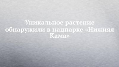 Уникальное растение обнаружили в нацпарке «Нижняя Кама» - chelny-izvest.ru - респ. Татарстан