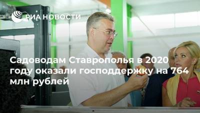 Владимир Владимиров - Садоводам Ставрополья в 2020 году оказали господдержку на 764 млн рублей - smartmoney.one - Минеральные Воды - Ставрополье