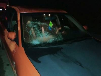 В селе Черновицкой области водитель сбил 13-летнюю девочку, ребенка госпитализировали с переломом бедренной кости - golos.ua - Черновицкая обл.
