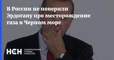 Реджеп Тайип Эрдоган - Игорь Юшков - Тайип Эрдоган - В России не поверили Эрдогану про месторождение газа в Черном море - nsn.fm - Россия - Турция - Польша