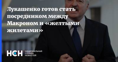 Александр Лукашенко - Эммануэль Макрон - Лукашенко готов стать посредником между Макроном и «желтыми жилетами» - nsn.fm - Белоруссия - Германия - Франция