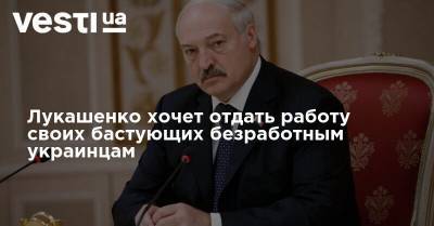 Александр Лукашенко - Эммануэлю Макрон - Лукашенко хочет отдать работу своих бастующих безработным украинцам - vesti.ua - США - Украина - Белоруссия - Германия - Франция - Солигорск