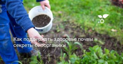 Как поддержать здоровье почвы – секреты биоорганики - skuke.net