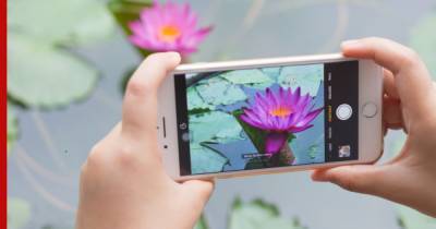 Apple Iphone - Пользователи iPhone массово потеряли фотографии - profile.ru