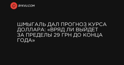 Шмыгаль дал прогноз курса доллара: «Вряд ли выйдет за пределы 29 грн до конца года» - bykvu.com - Украина