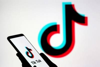 Дональд Трамп - Власти Эстонии считают, что TikTok представляет угрозу безопасности страны - aif.ru - США - Эстония