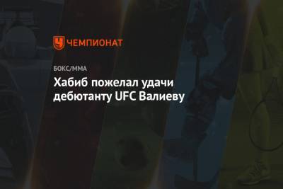 Хабиб Нурмагомедов - Тимур Валиев - Хабиб пожелал удачи дебютанту UFC Валиеву - championat.com