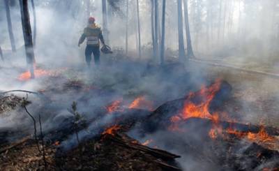 Helsingin Sanomat (Финляндия): летняя работа в тайге - inosmi.ru - Россия - Финляндия - Иваново - Sanomat - Верхоянск