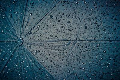 Дожди и грозы: какая погода ждет новосибирцев на предстоящей неделе - novos.mk.ru - Новосибирск