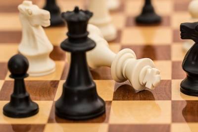 Россияне захватили лидерство в группе на шахматной онлайн-олимпиаде - aif.ru - Россия - Турция - Болгария - Хорватия