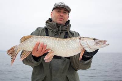 Зимняя рыбалка - pravda-tv.ru