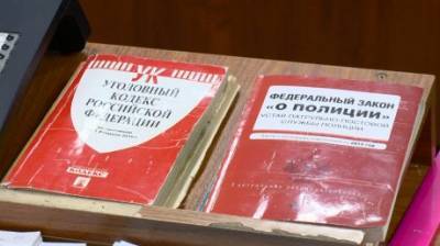 Татьяна Махницкая - Заступничество за сына привело сельчанку на скамью подсудимых - penzainform.ru - Россия - Пензенская обл.