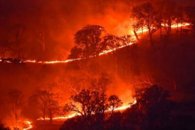 В Калифорнии продолжаются лесные пожары: Власти штата обратились за помощью к Канаде и Австралии - vkcyprus.com - США - Австралия - Канада - USA - шт. Калифорния - штат Род-Айленд