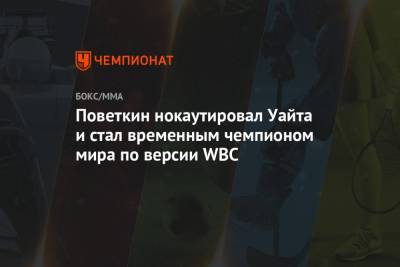 Александр Поветкин - Майкл Хантер - Поветкин нокаутировал Уайта и стал временным чемпионом мира по версии WBC - championat.com - Англия - Саудовская Аравия