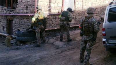 Два боевика ликвидированы в Ингушетии - riafan.ru - респ. Ингушетия - район Сунженский