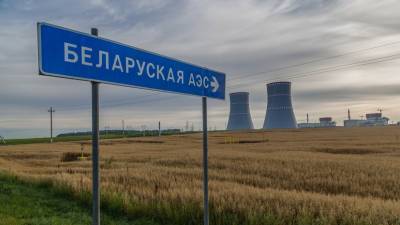 Алексей Лихачев - Строительство Белорусской АЭС идёт штатно - russian.rt.com - Россия - Белоруссия - Литва - Минск - Линас